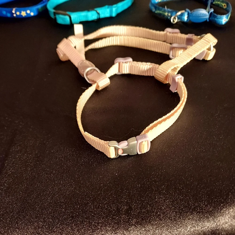 NEW-3 Cat Collars & 1 harness
